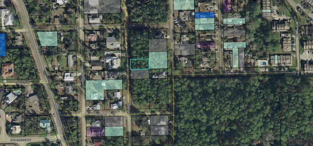313 Bryan Street, Flagler Beach, FL 32164