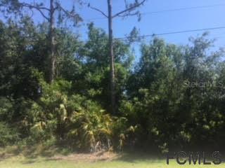 55 Royal Oak Dr., Palm Coast, FL 32164