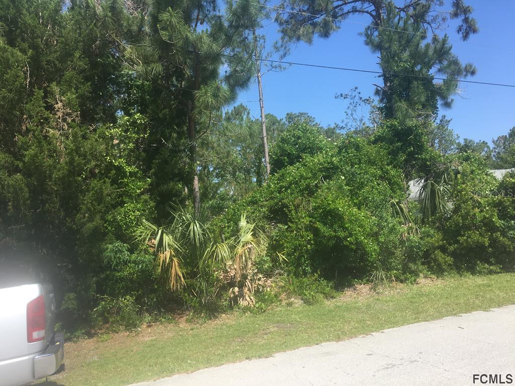 39 Randolph Dr., Palm Coast, FL 32164