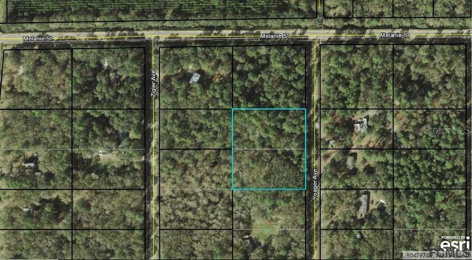 10015 Yeager Ave., Hastings, FL 32145