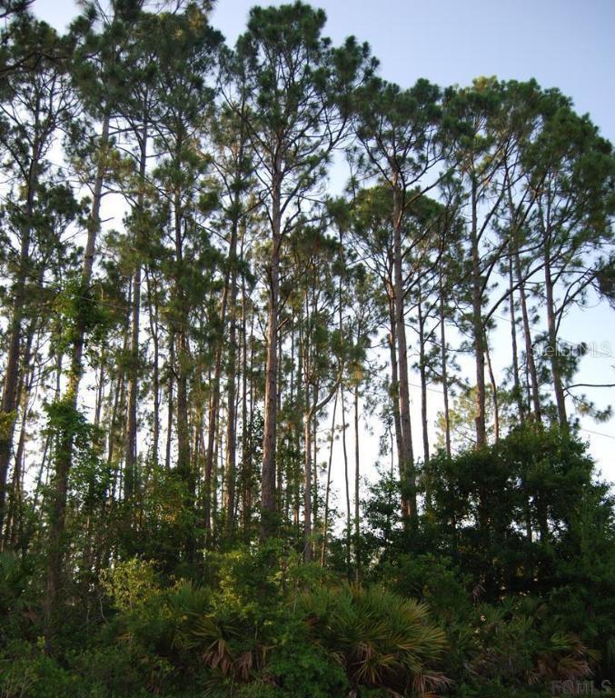 47 Bainbridge Ln., Palm Coast, FL 32137