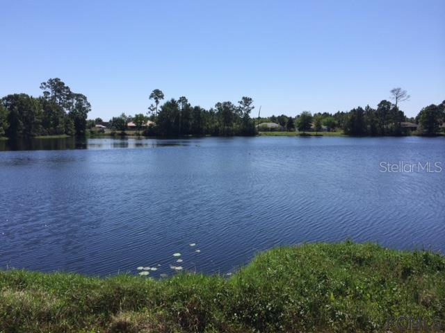 59 Fanshawe Ln., Palm Coast, FL 32137