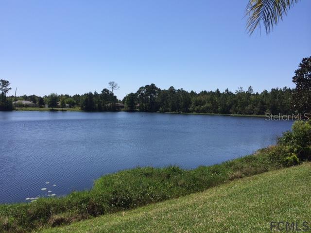 61 Fanshawe Ln., Palm Coast, FL 32137