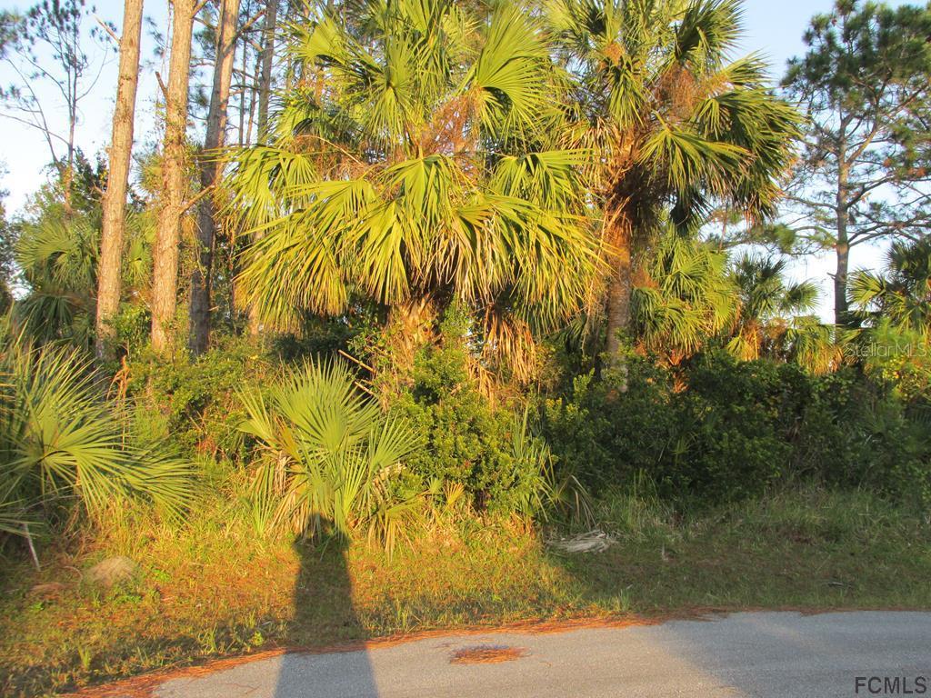 72 Frankford Ln., Palm Coast, FL 32137