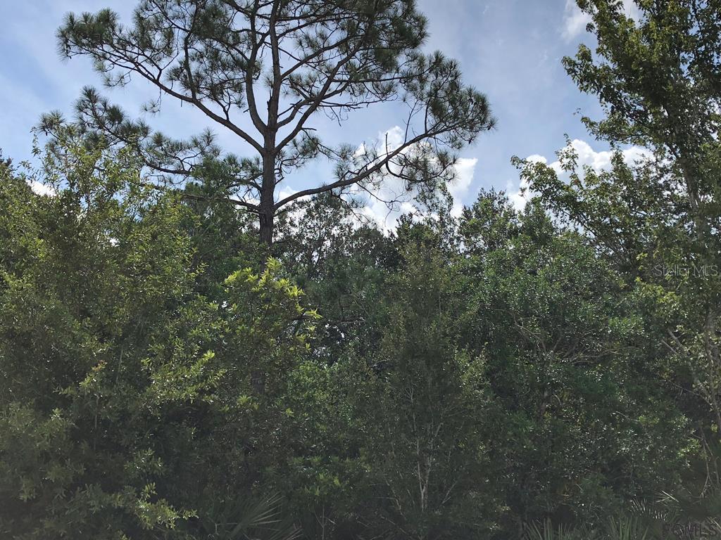 7 White Hurst Ln., Palm Coast, FL 32164