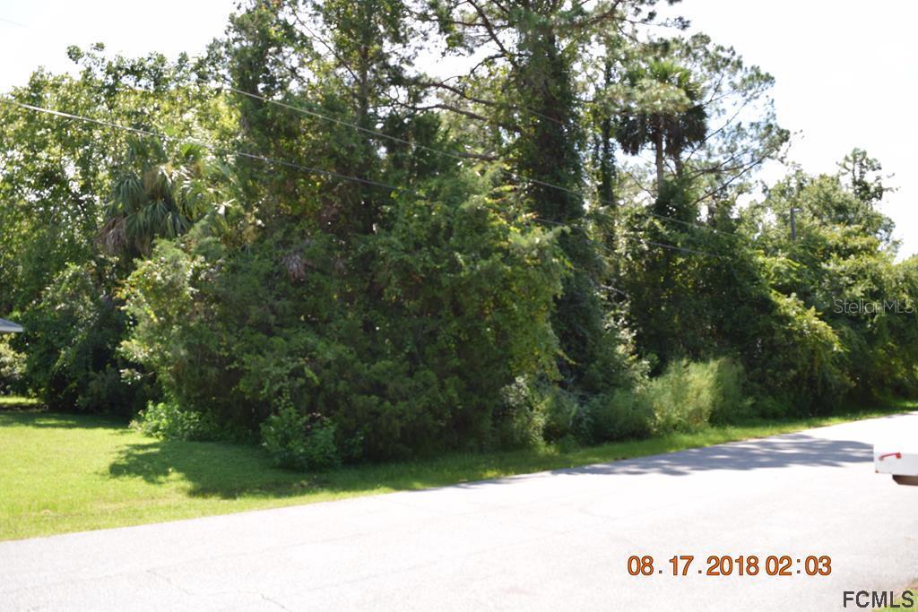 36 Round Thorn Dr., Palm Coast, FL 32164