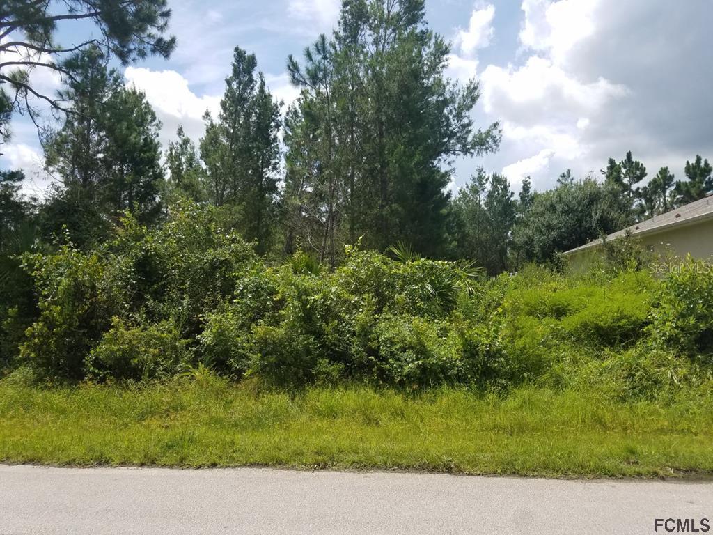 34 Wood Amber Ln., Palm Coast, FL 32164