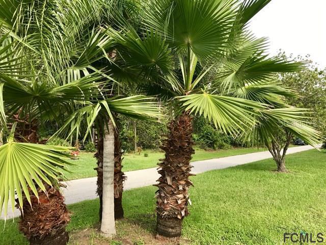 118 Lindsay Dr., Palm Coast, FL 32164