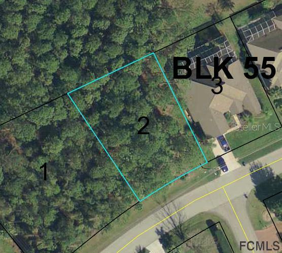 166 Laramie Dr., Palm Coast, FL 32137