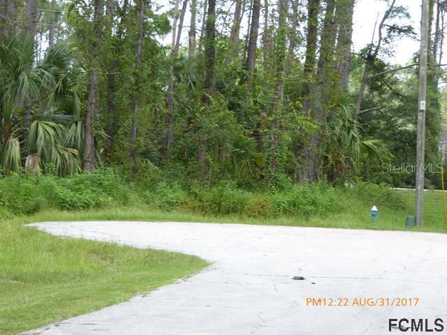 17 Renworth Pl., Palm Coast, FL 32164