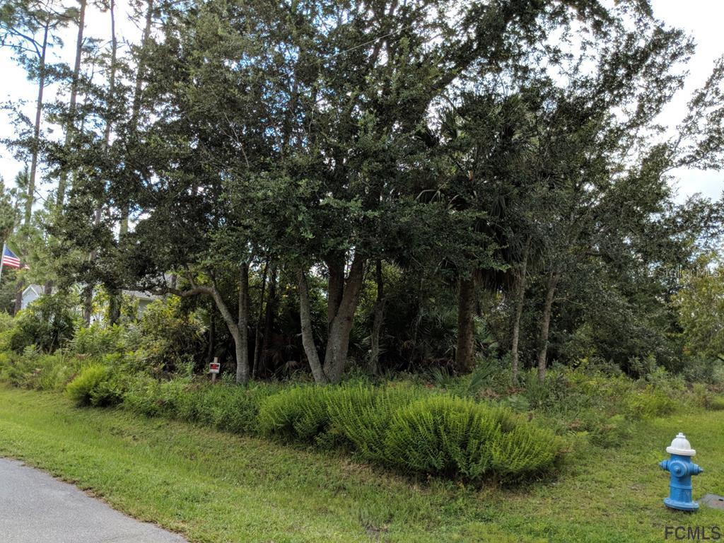 17 Brooklyn Ln., Palm Coast, FL 32137