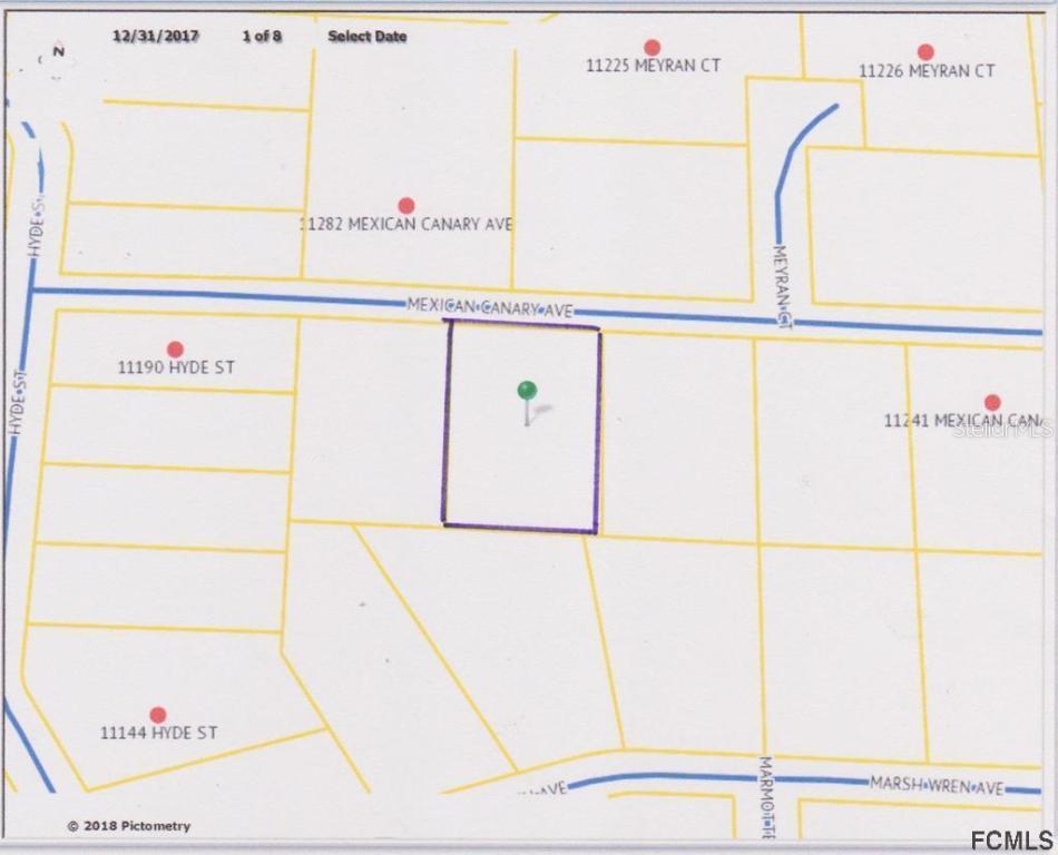 11273 Mexican Canary Ave., Brooksville, FL 34614