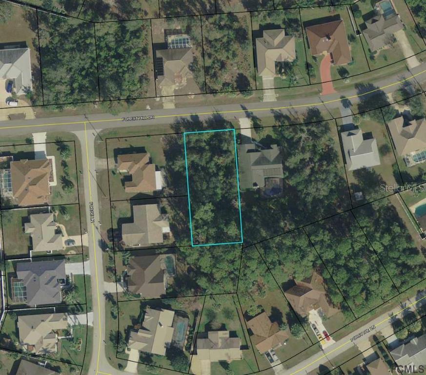 111 Forest Hill Dr., Palm Coast, FL 32137