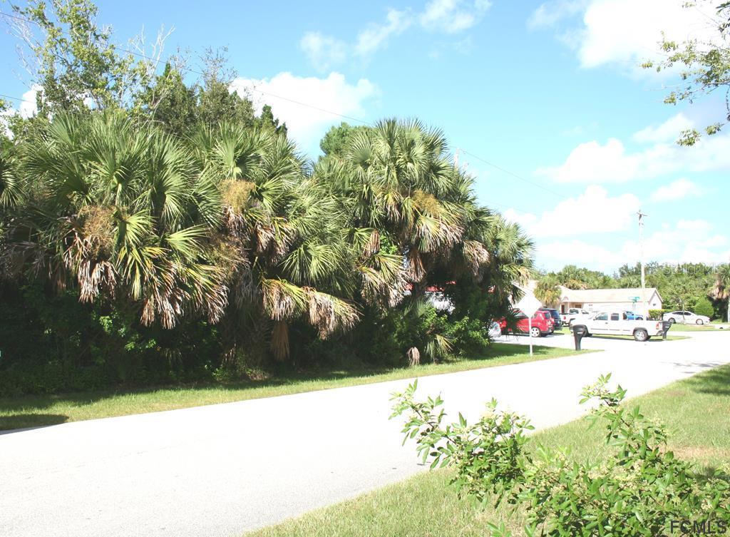 226 Coral Reef Ct., Palm Coast, FL 32164