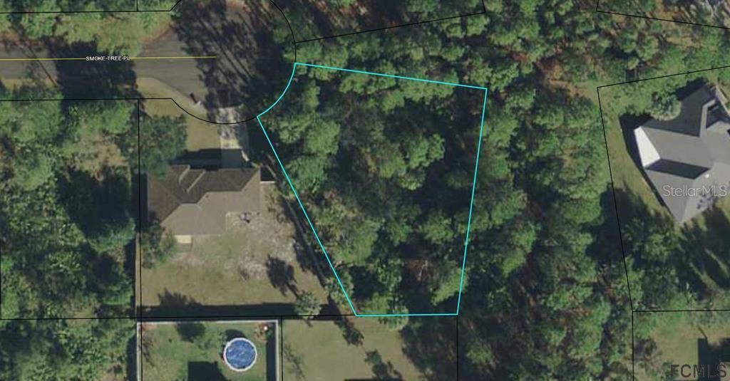 20 Smoke Tree Pl., Palm Coast, FL 32164