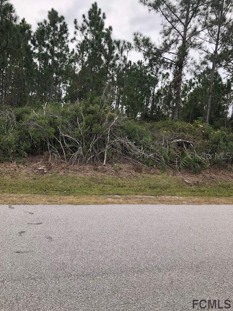 61 Fieldstone Ln., Palm Coast, FL 32137