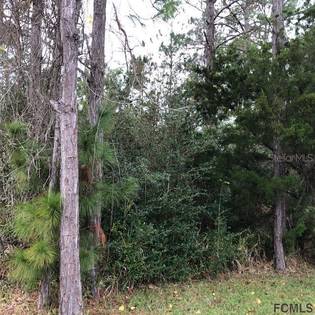 7 White House Dr., Palm Coast, FL 32164