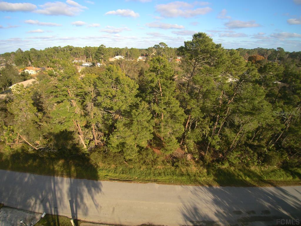 33 Fallen Oak Ln., Palm Coast, FL 32137