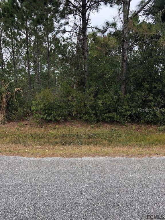 37 Undershire Path, Palm Coast, FL 32164