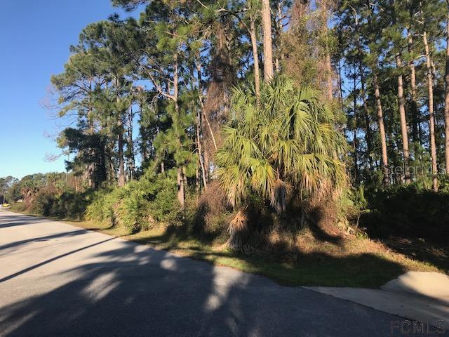 26 Fenhill Ln., Palm Coast, FL 32137