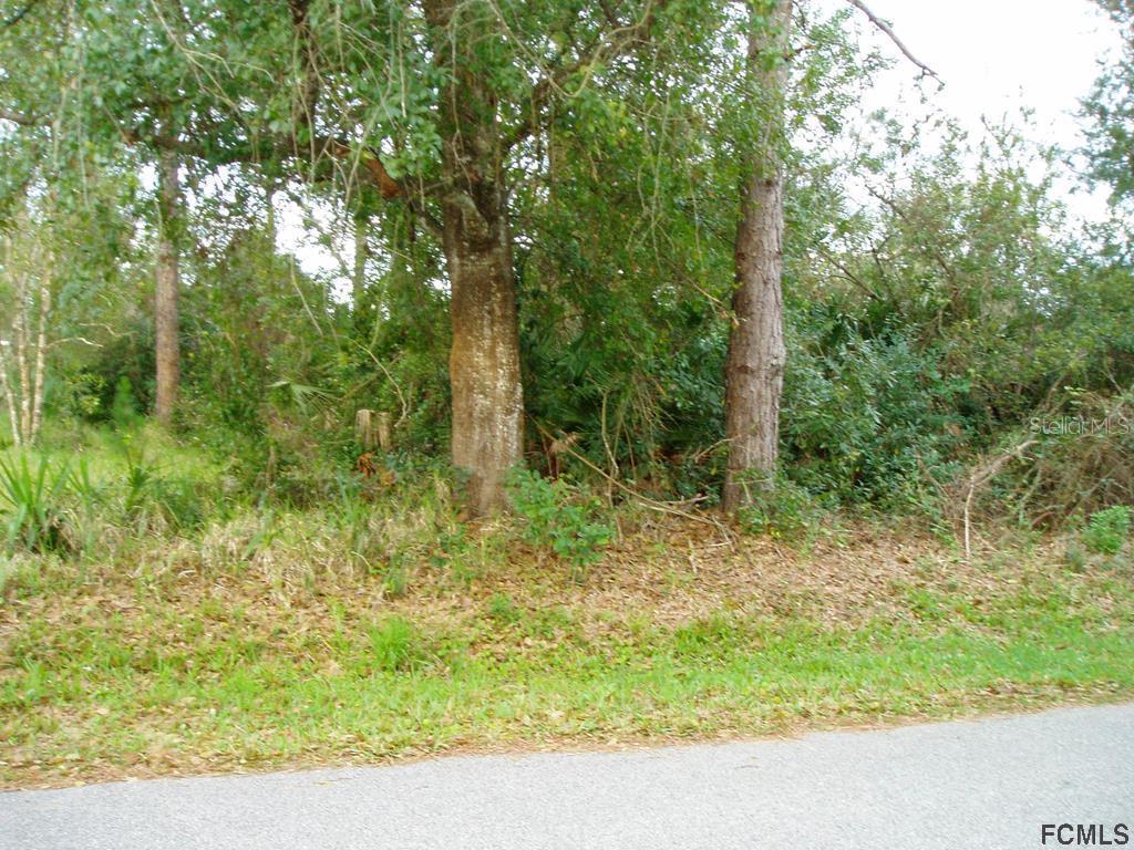 36 White Hall Dr., Palm Coast, FL 32164