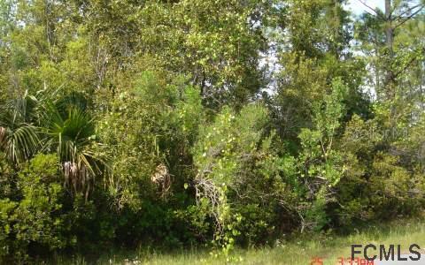 43 E Diamond Dr., Palm Coast, FL 32164