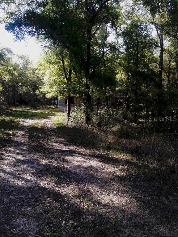 10035 Nikolich Ave., Hastings, FL 32145