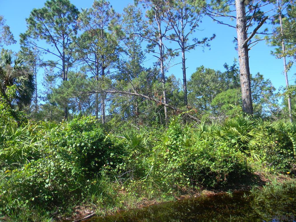 86 Flemingwood Ln., Palm Coast, FL 32137