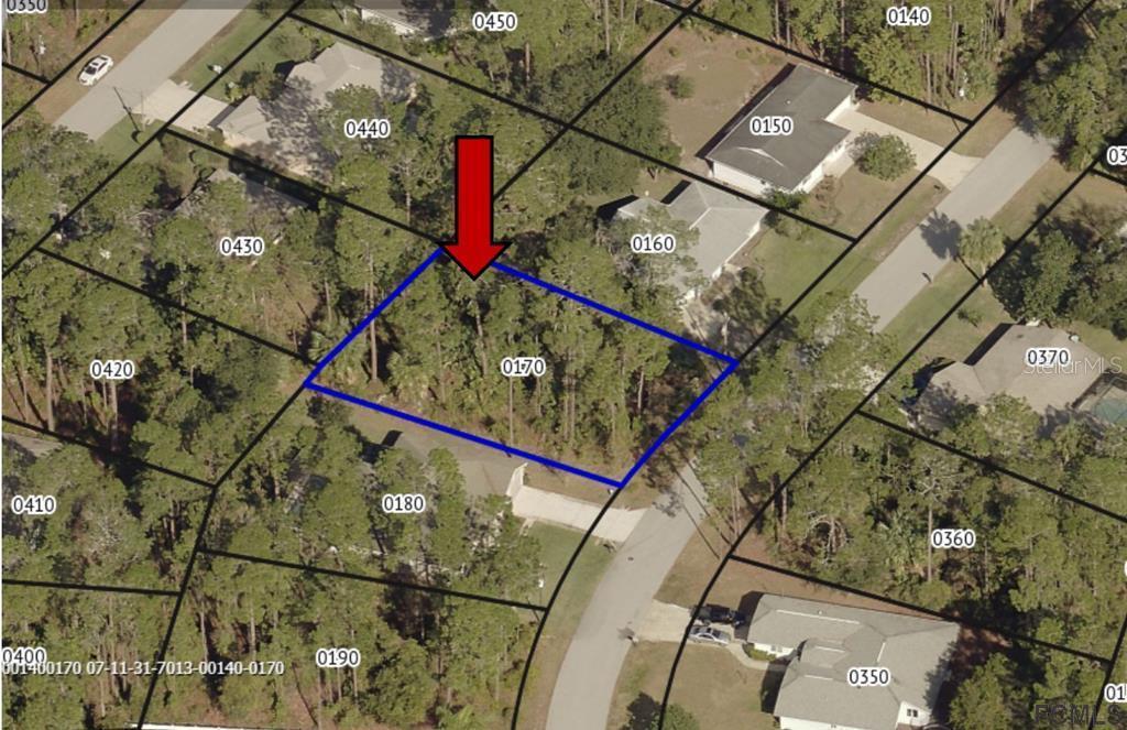 41 Briarvue Ln., Palm Coast, FL 32137