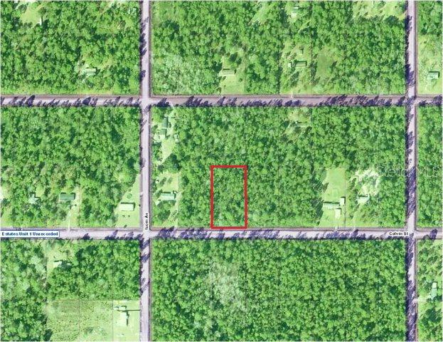 4350 Calvin St., Hastings, FL 32145