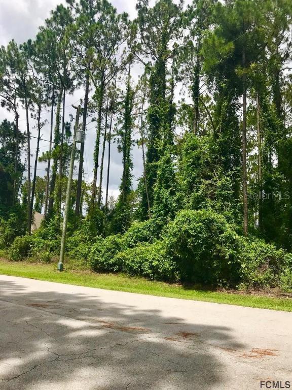 53 Eagle Harbor Tr., Palm Coast, FL 32164
