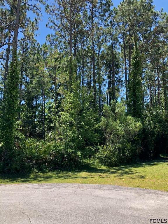 42 Porcupine Dr., Palm Coast, FL 32164
