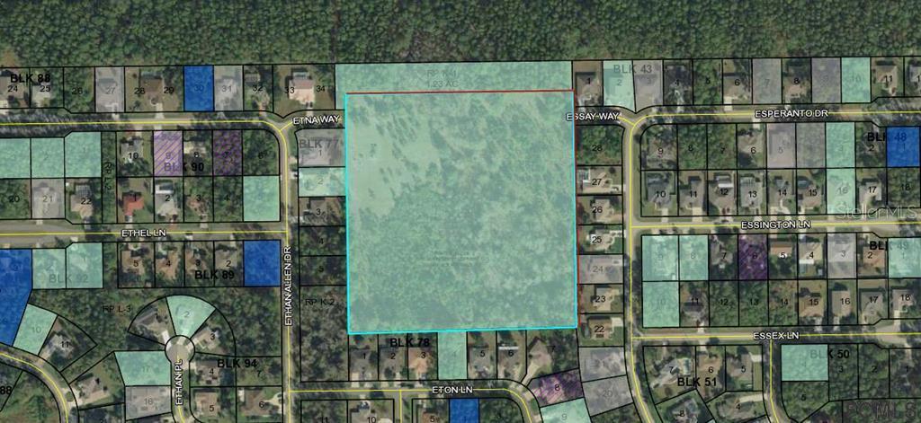 00 Etna Way Way, Palm Coast, FL 32164