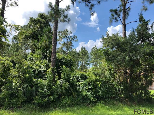 35 White House Dr., Palm Coast, FL 32164