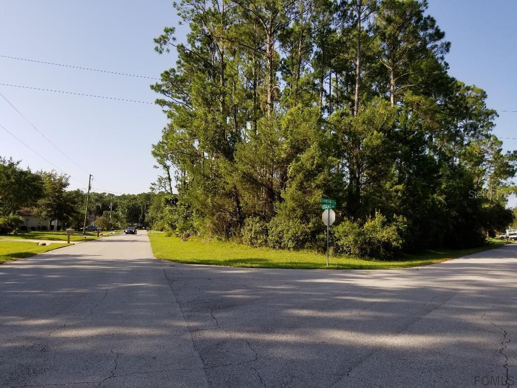 1 Evansmill Ln., Palm Coast, FL 32164