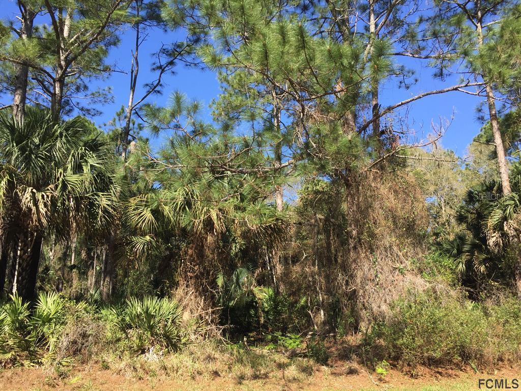96 Port Royal Dr., Palm Coast, FL 32164