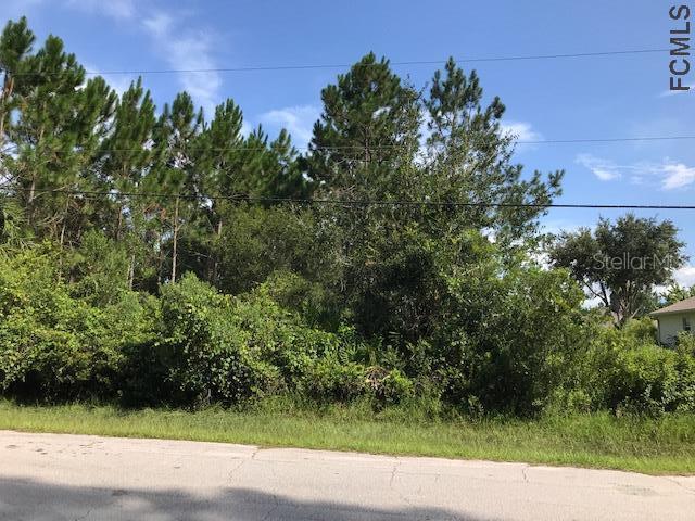 22 Larkspur Way, Palm Coast, FL 32137