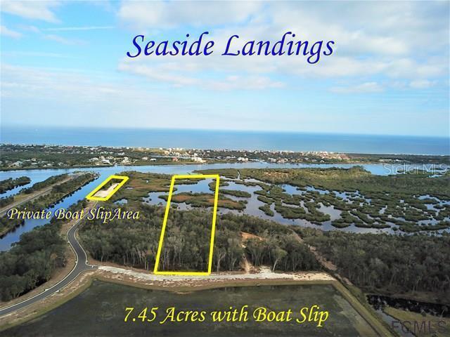 218 Seaside Landings Dr., Flagler Beach, FL 32136