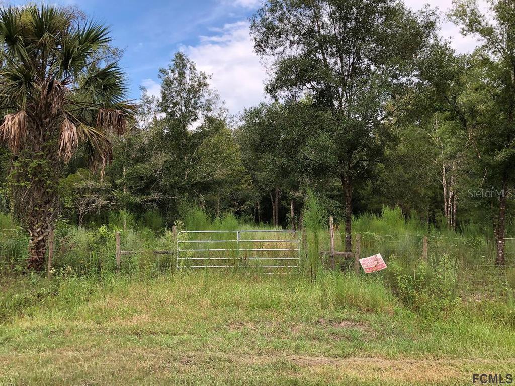 10310 Vaughan Ave., Hastings, FL 32145