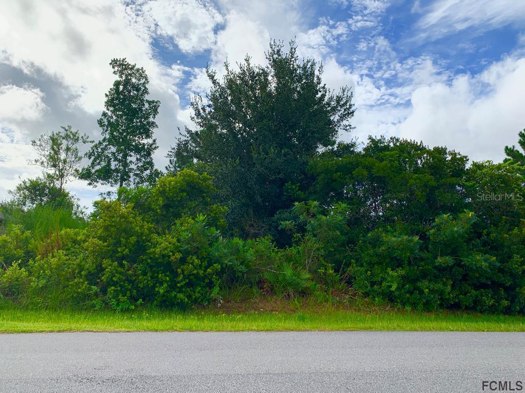 18 Louisiana Dr., Palm Coast, FL 32137