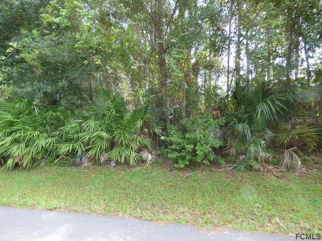 119 Lindsay Dr., Palm Coast, FL 32137