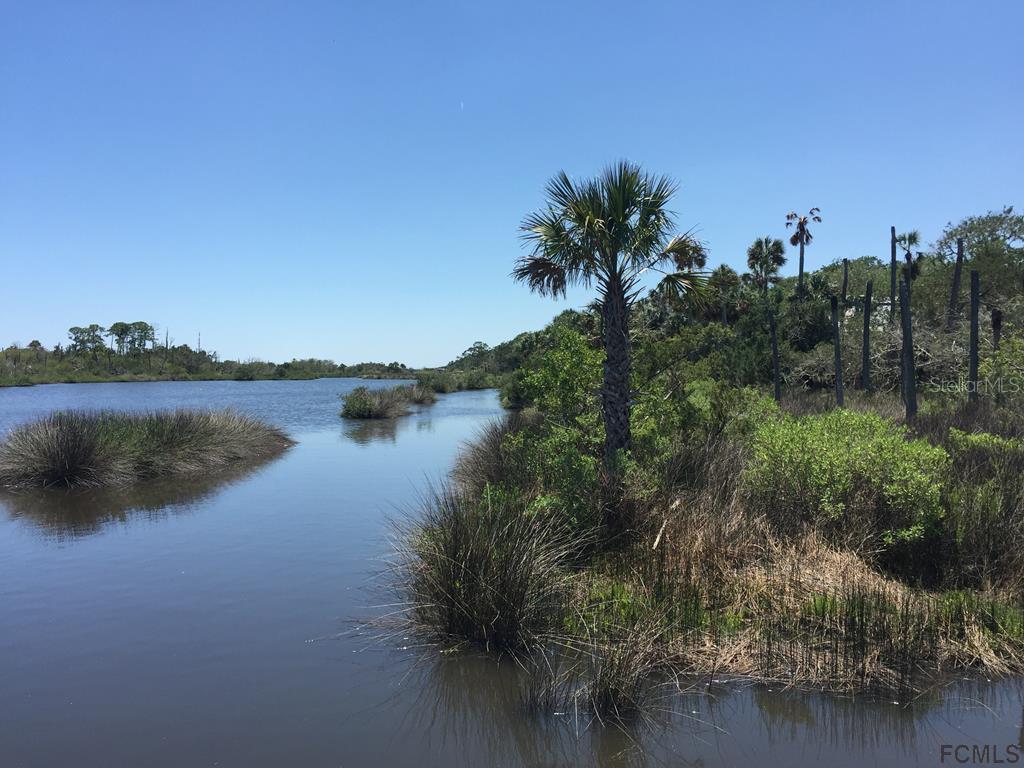 35 Bulow Woods Cir., Flagler Beach, FL 32136