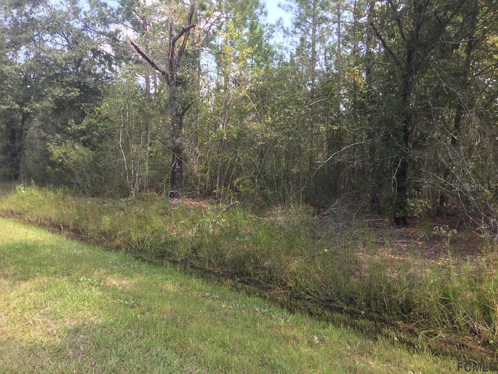 10260 Carpenter Ave., Hastings, FL 32145