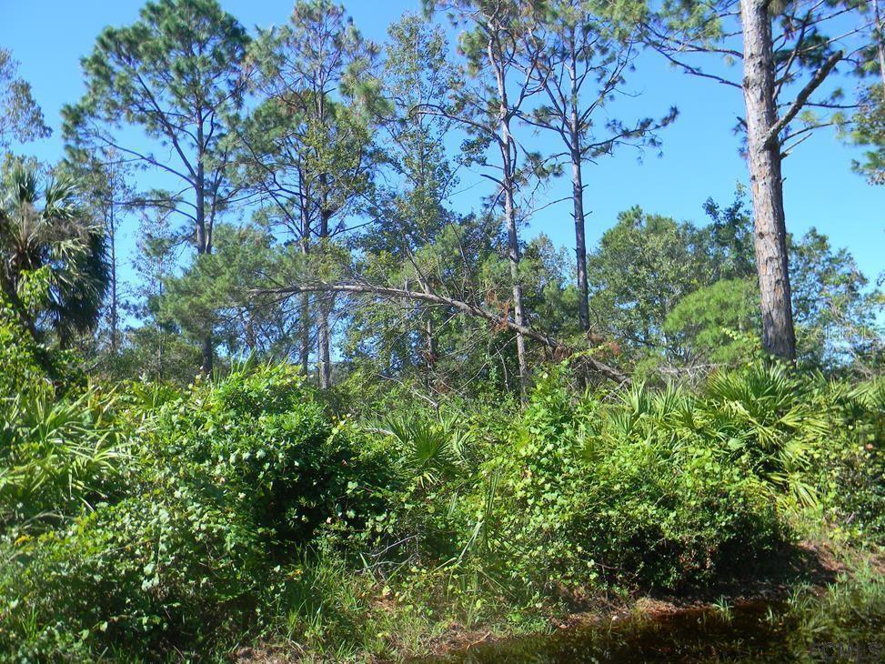 33 Fallen Oak Ln., Palm Coast, FL 32137