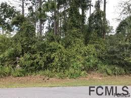 9 Royal Leaf Ln., Palm Coast, FL 32164