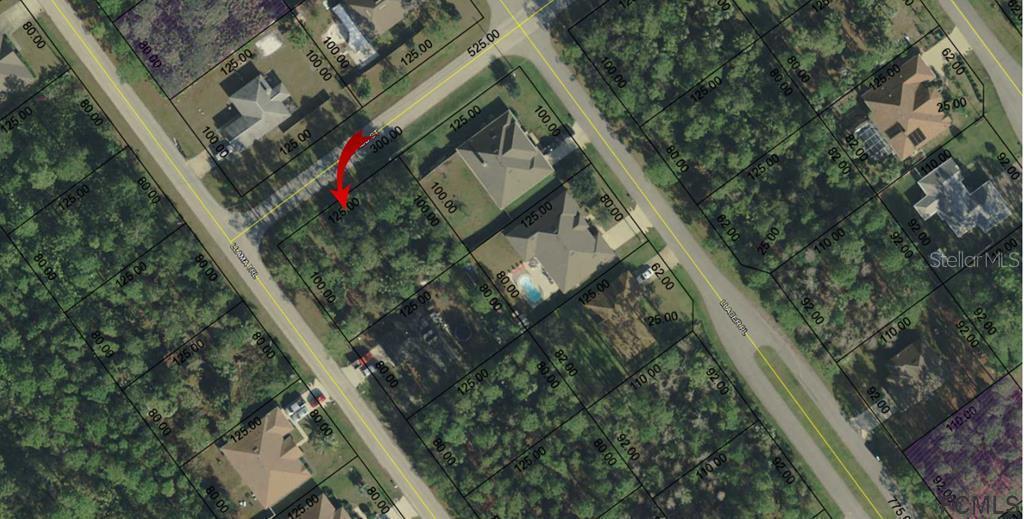 43 Llama Tr., Palm Coast, FL 32164