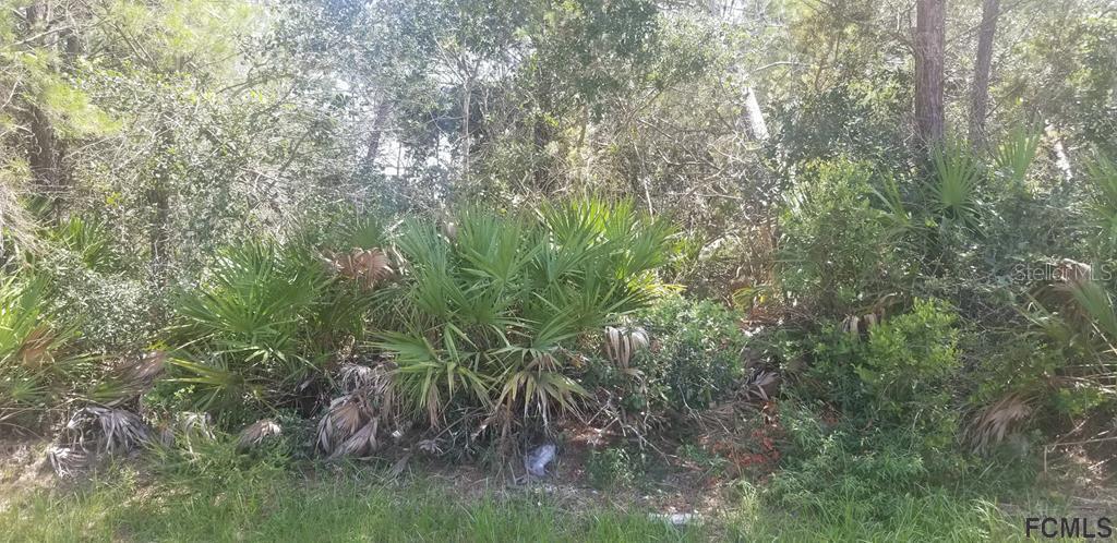 34 Fircrest Ln., Palm Coast, FL 32137