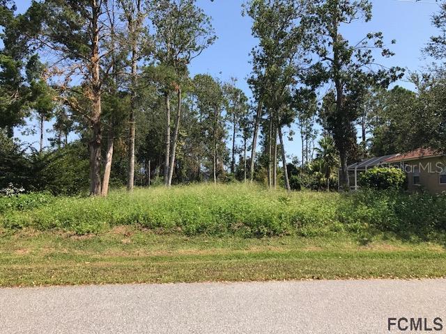 20 Fayy Ln., Palm Coast, FL 32137