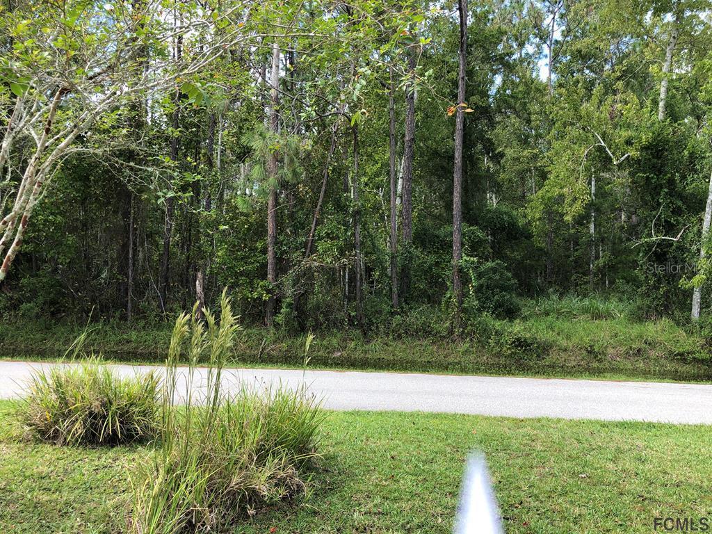 58 Edward Dr., Palm Coast, FL 32164