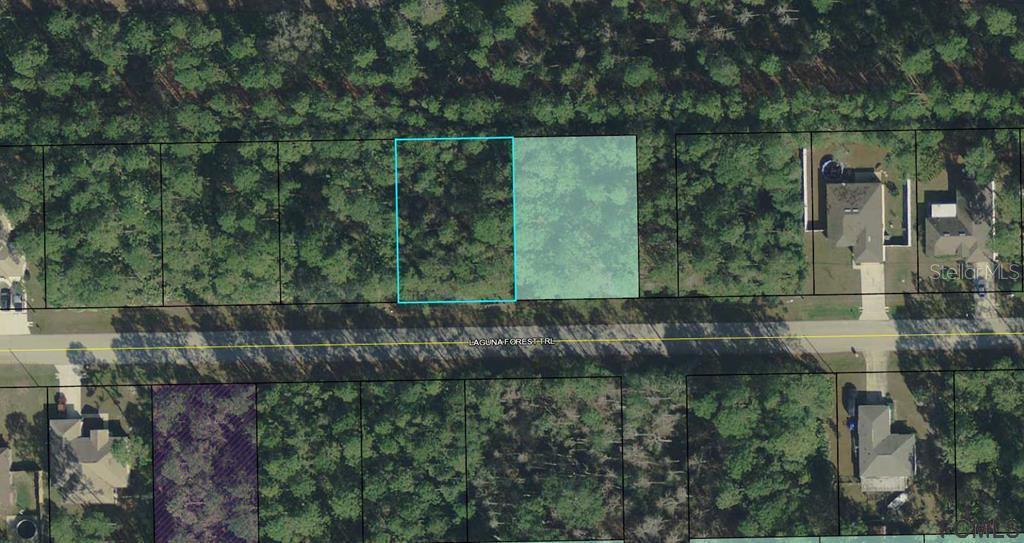 43 Laguna Forest Tr., Palm Coast, FL 32164
